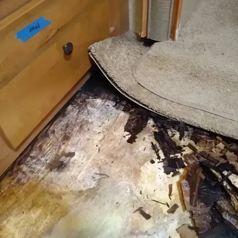 Wood Floor Water Damage in Alachua County, FL